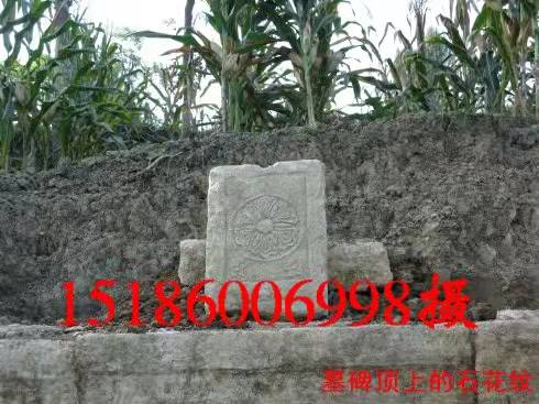 mmexport1543363559327.jpg